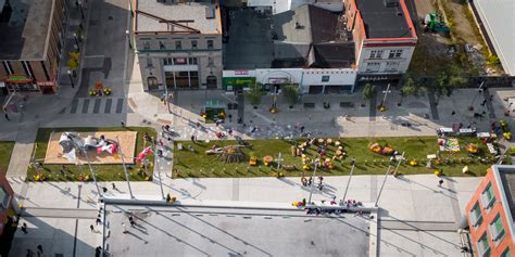 city of kitchener|city of kitchener forestry department.